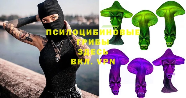 спиды Абаза