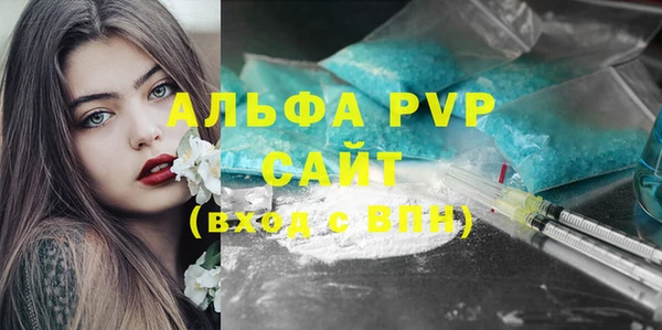 спиды Абаза