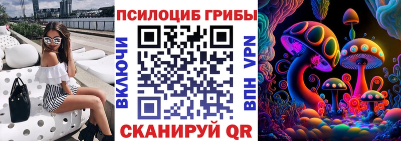 Псилоцибиновые грибы Cubensis  Каменск-Шахтинский 