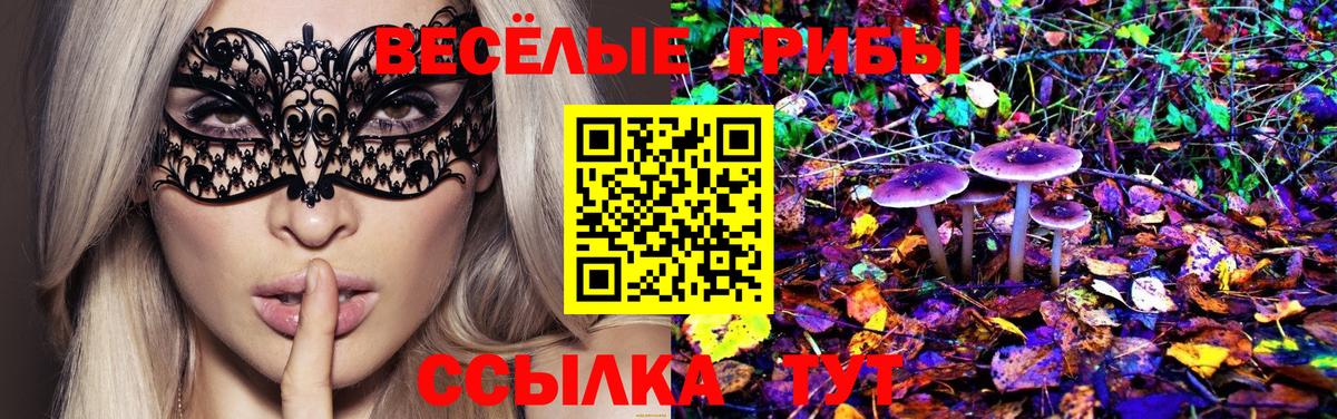 Каменск-Шахтинский  Галлюциногенные грибы Cubensis  Вход с VPN 